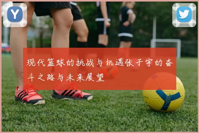 现代篮球的挑战与机遇张子宇的奋斗之路与未来展望